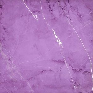 Meet your Posher, Breonica